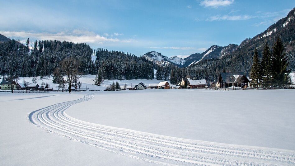 Langlauf Skating Panoramaloipe Hinterwildalpen - Touren-Impression #2.3 | © TV Gesäuse