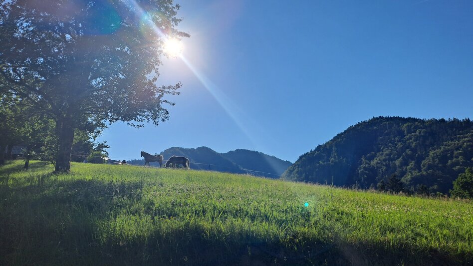 Nordic Walking Milchstraße Laufrunde - Touren-Impression #2.5