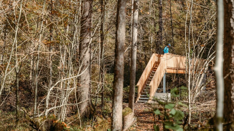 Nordic Walking Milchstraße Laufrunde - Touren-Impression #2.8