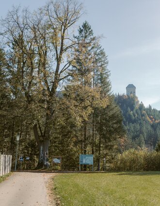 Zinkgraben