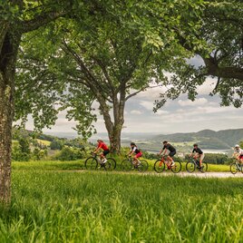 Eastern Styria | © Oststeiermark Tourismus