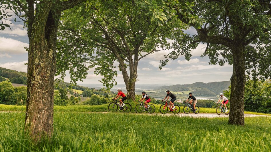 Rennrad Burgen und Schlösser Runde, Anger - Touren-Impression #2.1 | © Oststeiermark Tourismus