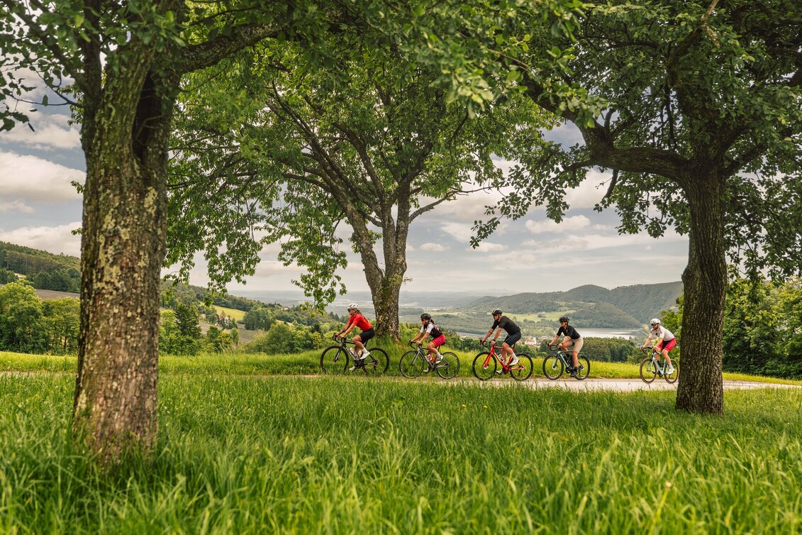 Rennrad Burgen und Schlösser Runde, Anger - Touren-Impression #1 | © Oststeiermark Tourismus