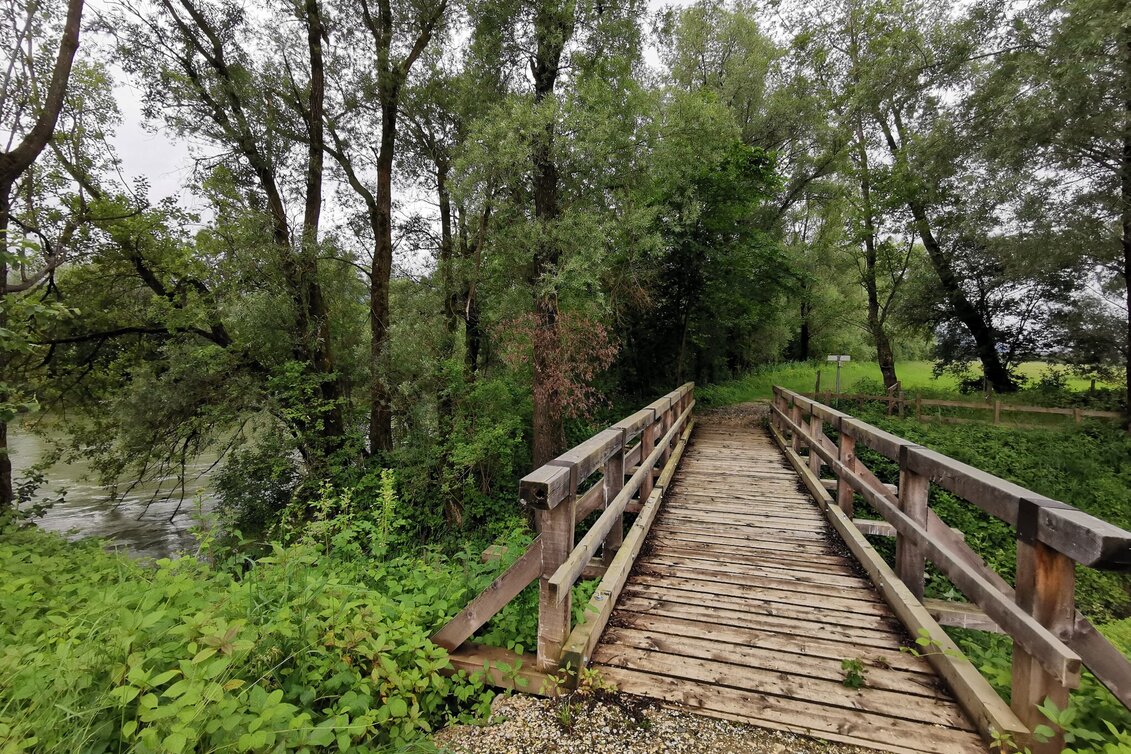 Water Trail Circular Way to the Water Place at Enns river - Touren-Impression #1