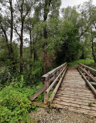 Wooden bridge at the Enns water site | Birgit Geieregger