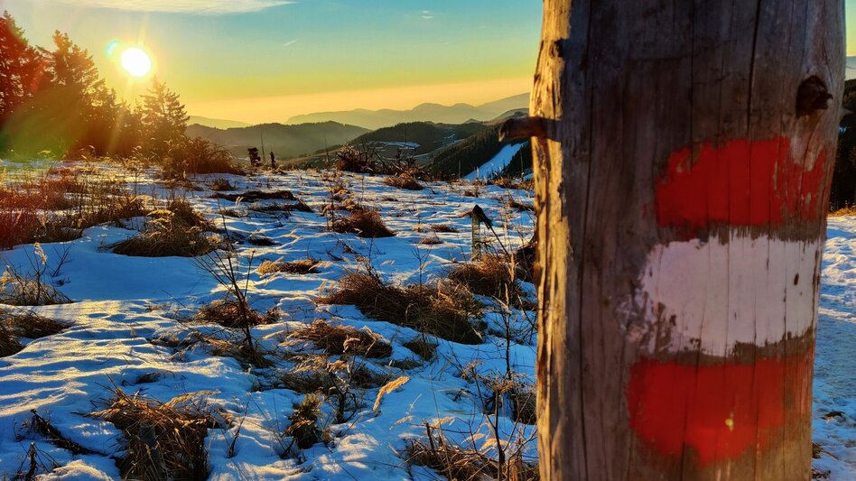 Winterwandern Winterwandern Hochlantsch-Runde, Teichalm - Touren-Impression #2.1 | © Oststeiermark Tourismus