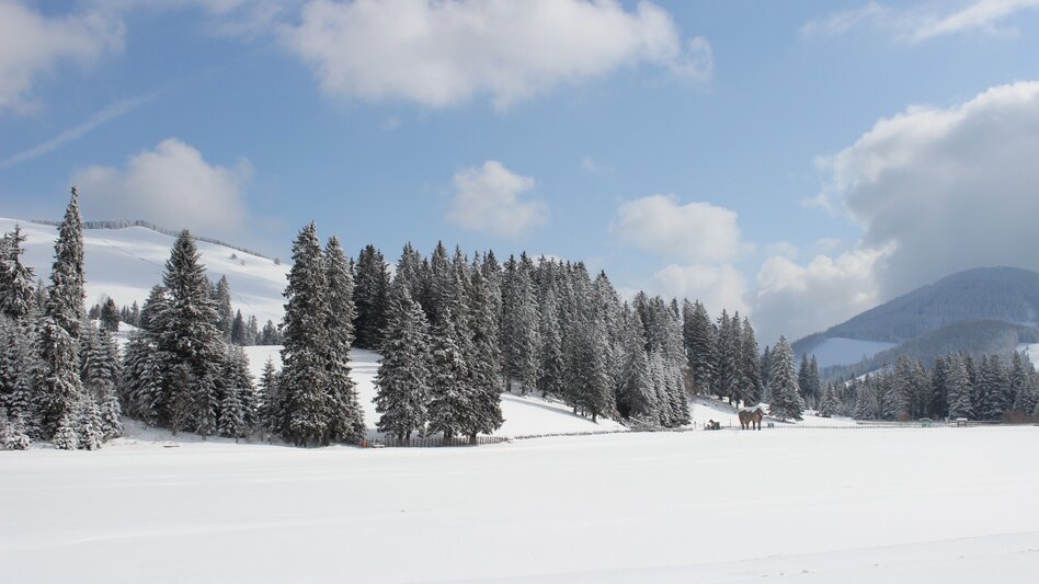 Winterwandern Winterwandern Hochlantsch-Runde, Teichalm - Touren-Impression #2.3 | © Oststeiermark Tourismus