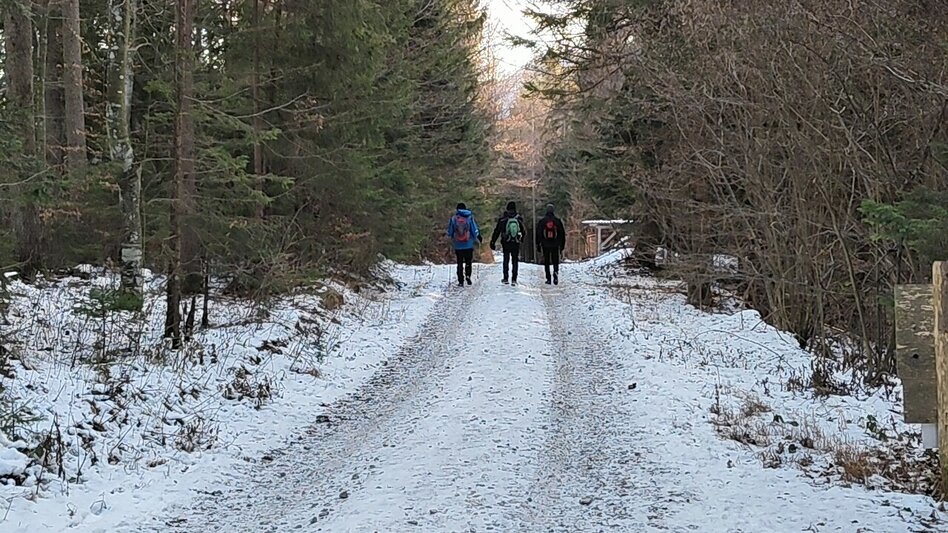 Winter Hiking Patscha-Trail St. Kathrein am Offenegg - Touren-Impression #2.4 | © Oststeiermark Tourismus