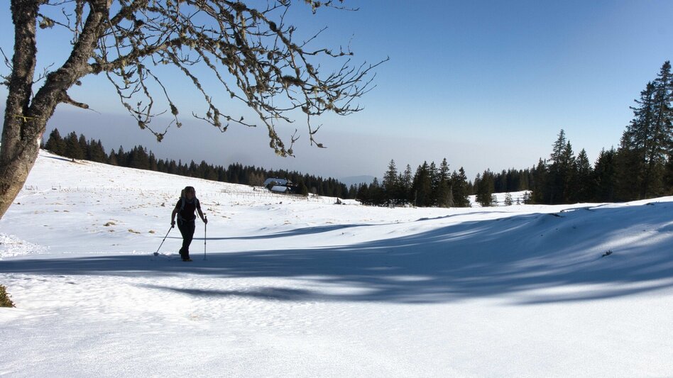 Snowshoe Walking Schneeschuhwandern Glitzalm - Touren-Impression #2.1 | © Weges OG