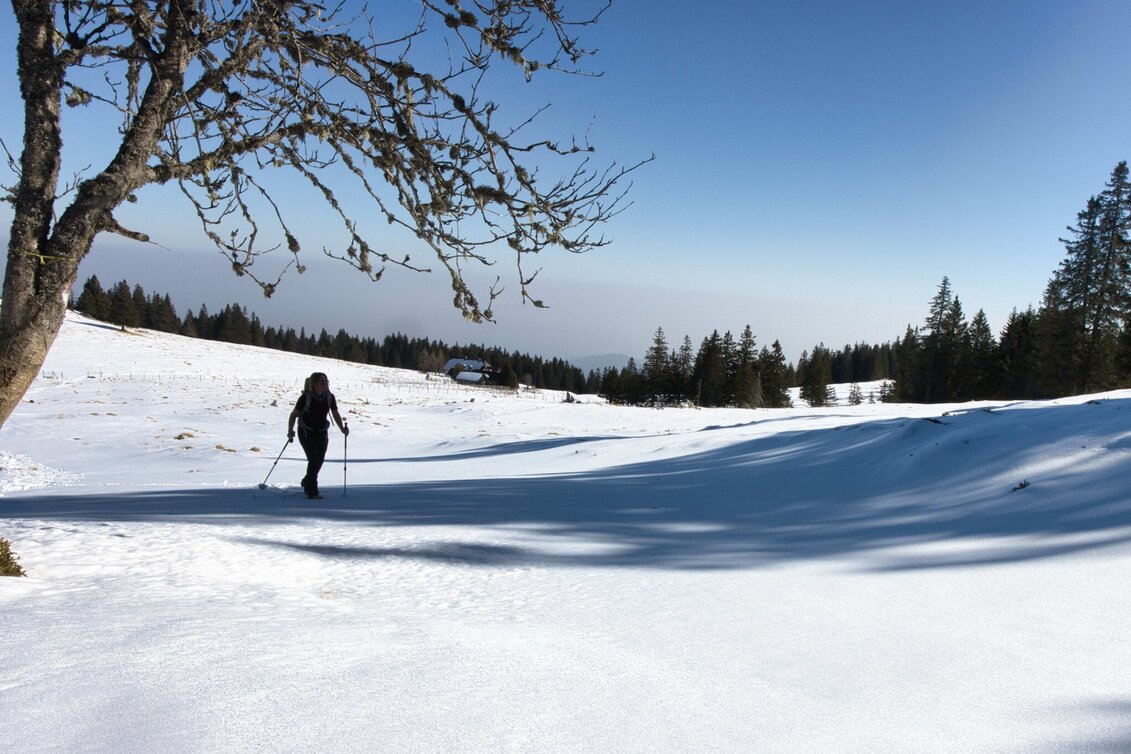 Snowshoe Walking Schneeschuhwandern Glitzalm - Touren-Impression #1 | © Weges OG