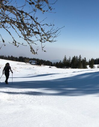 IMG_8707.jpg | Weges OG | © Weges OG