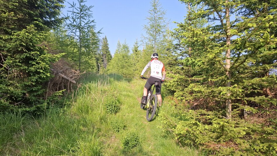 Mountain Biking Neu - Altes Almhaus Tour 182 - MTB Tour - Touren-Impression #2.3 | © Region Graz