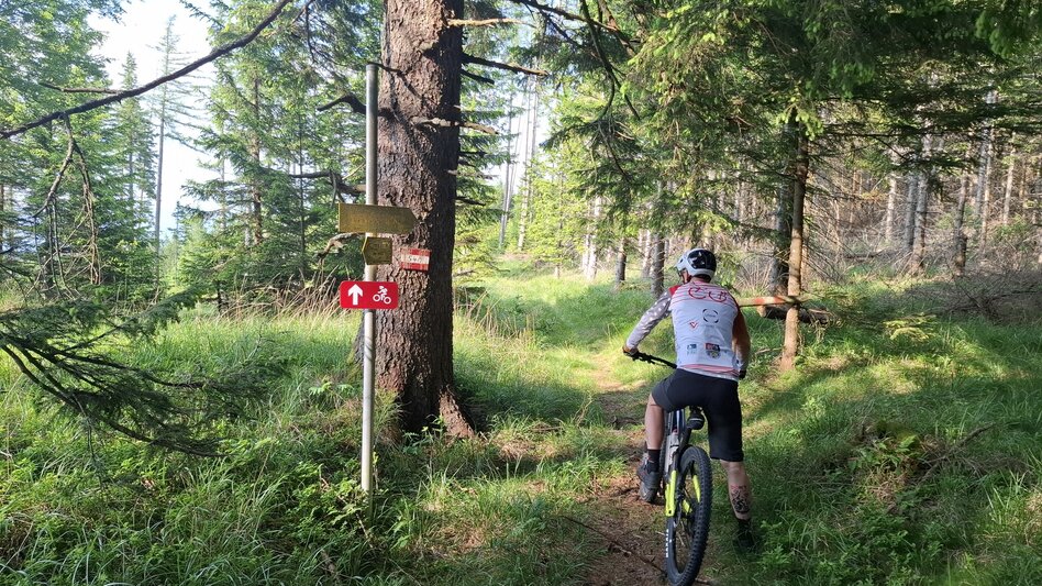 Mountain Biking Neu - Altes Almhaus Tour 182 - MTB Tour - Touren-Impression #2.6 | © Region Graz