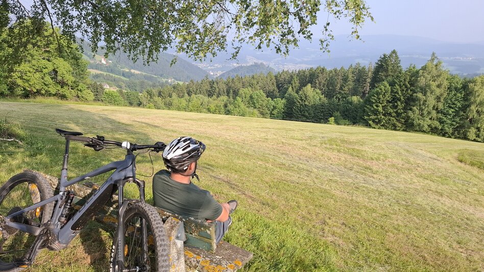 Mountain Biking Neu - Altes Almhaus Tour 182 - MTB Tour - Touren-Impression #2.7 | © Region Graz