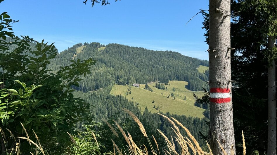 Wanderung Übelbacher Bermuda Dreieck - Touren-Impression #2.9