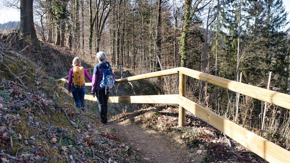 Wanderung Rundweg 3 - Antonienhöhe  (Frohnleiten in Bewegung) - Touren-Impression #2.4 | © Weges OG