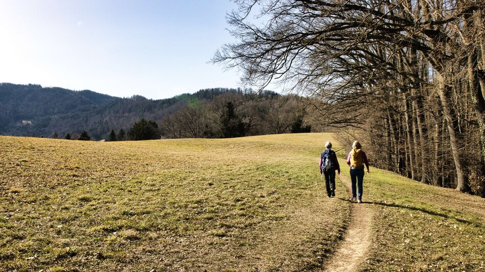 Wanderung Rundweg 3 - Antonienhöhe  (Frohnleiten in Bewegung) - Touren-Impression #2.5 | © Weges OG