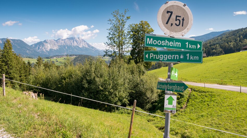 Nordic Walking Birgseiten Runde P3  - Touren-Impression #2.2 | © Erlebniregion Schladming-Dachstein