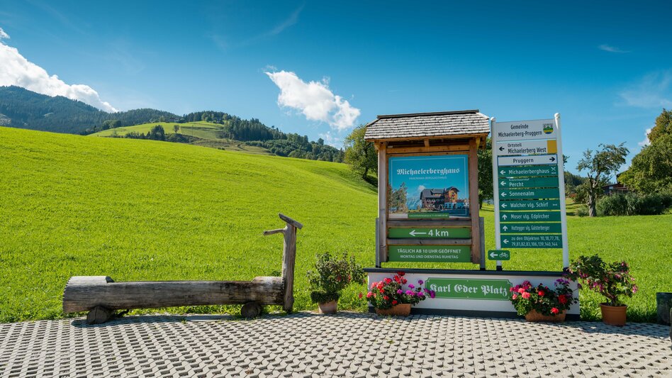 Nordic Walking Birgseiten Runde P3  - Touren-Impression #2.4 | © Erlebnisregion Schladming-Dachstein