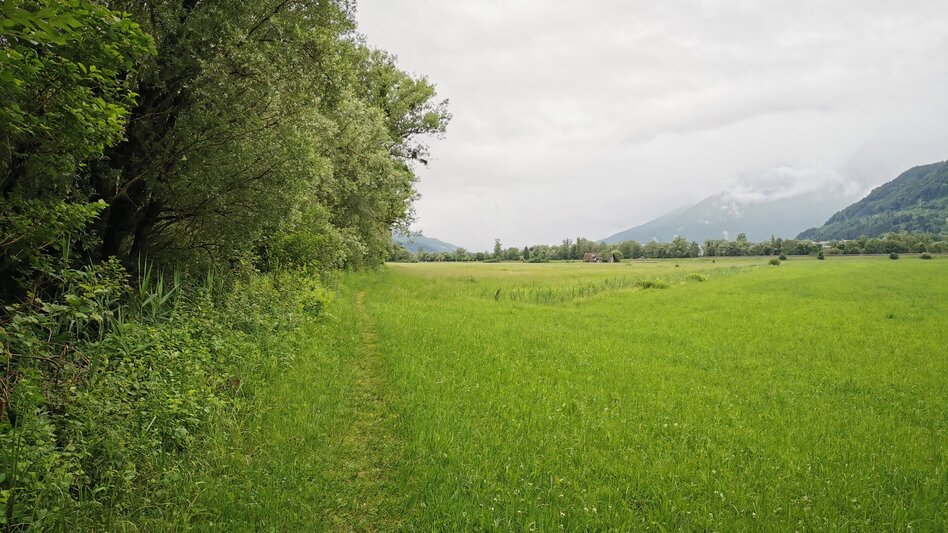 Hiking Route Nature.Power.Place Circuit Fürstensteig-Enns - Touren-Impression #2.6