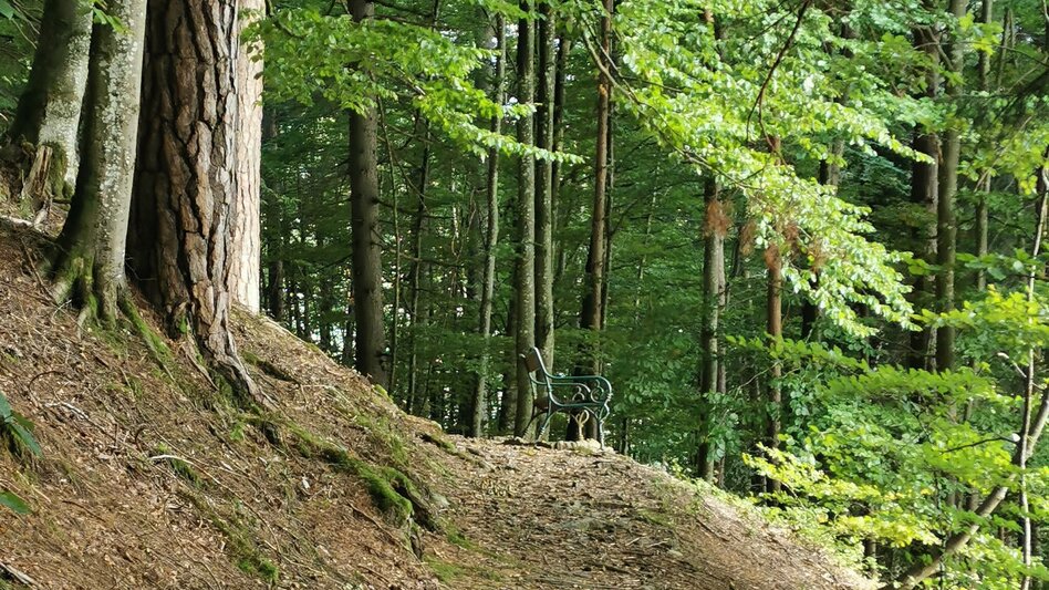 Hiking Route Nature.Power.Place Circuit Fürstensteig-Enns - Touren-Impression #2.15