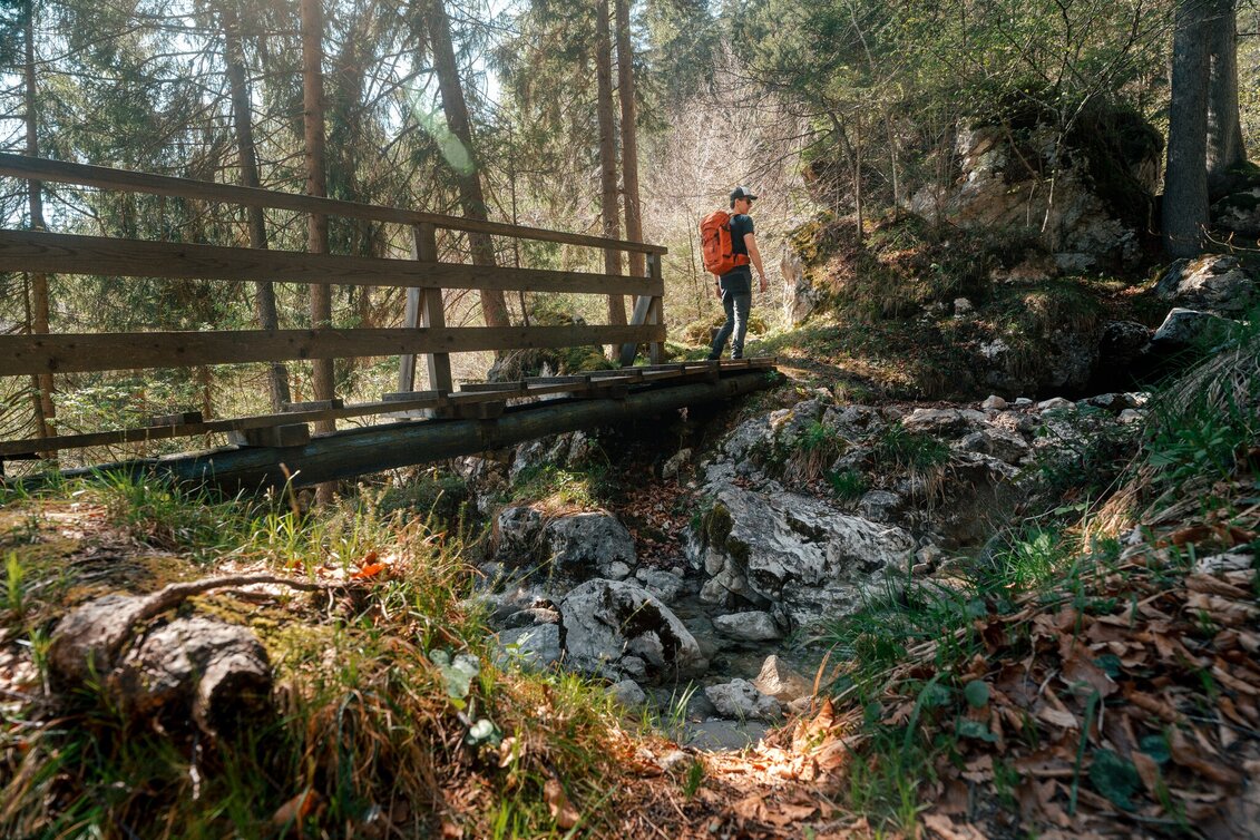 Hiking Route Nature.Power.Place Circuit Fürstensteig-Enns - Touren-Impression #1 | © Christoph Lukas