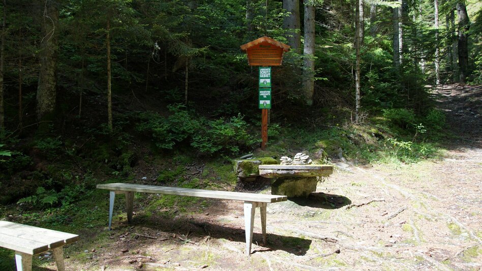 Wanderung Joglland Roas - Touren-Impression #2.3 | © Oststeiermark Tourismus