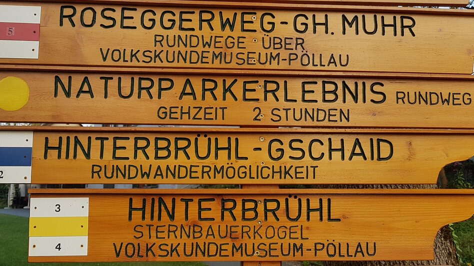 Hiking Route Pöllau circuit via Rabenwaldkogel and Käfer Alpine herb garden, Pöllau - Touren-Impression #2.2 | © Oststeiermark Tourismus