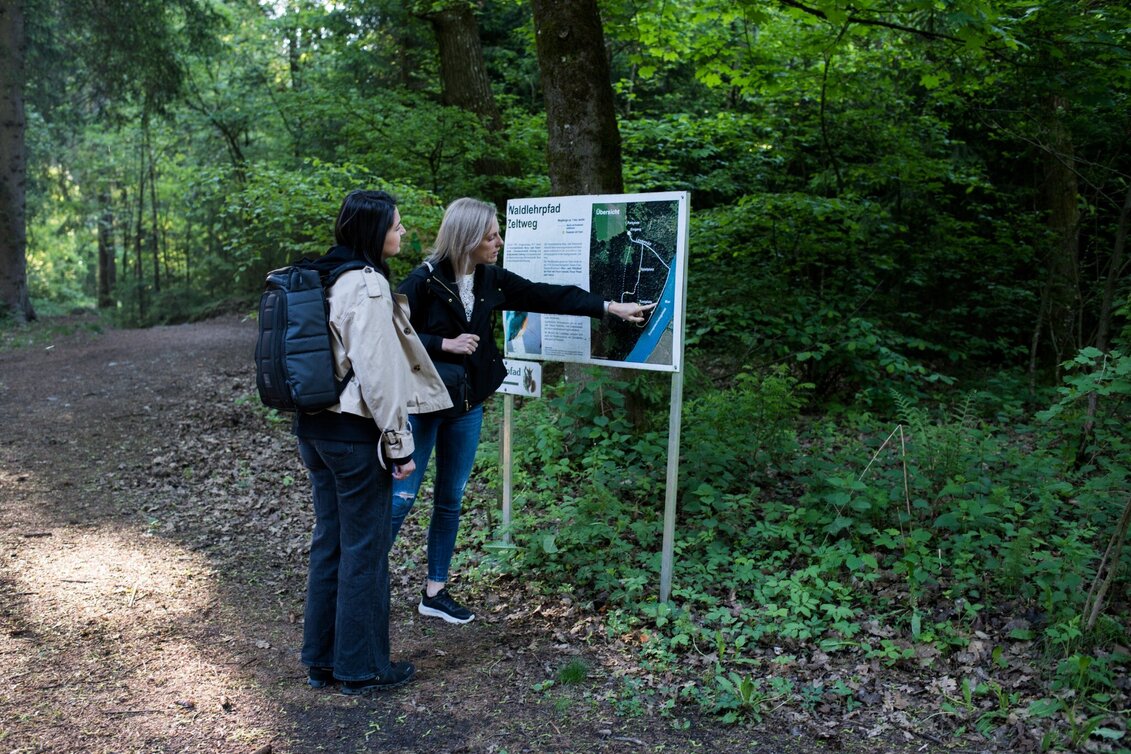 Hiking Route Waldlehrpfad Zeltweg - Touren-Impression #1 | © ANITA_FOESSL