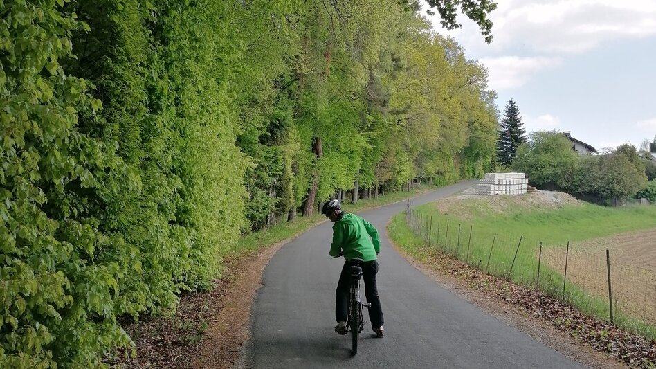 Radfahren Mostwärtsradweg R49 - Touren-Impression #2.2