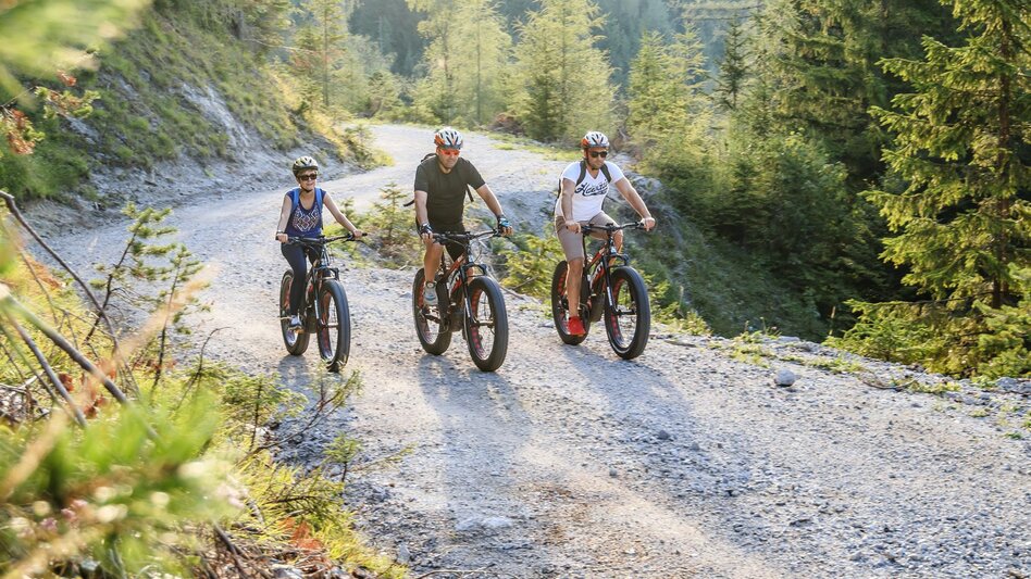 Mountainbike Erlauf - Walster - Runde - Touren-Impression #2.1 | © TV Hochsteiermark | Fred Lindmoser