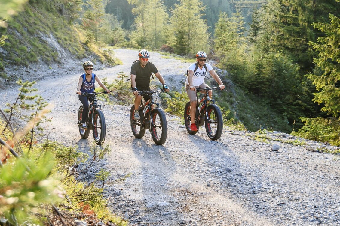 Mountainbike Erlauf - Walster - Runde - Touren-Impression #1 | © TV Hochsteiermark | Fred Lindmoser