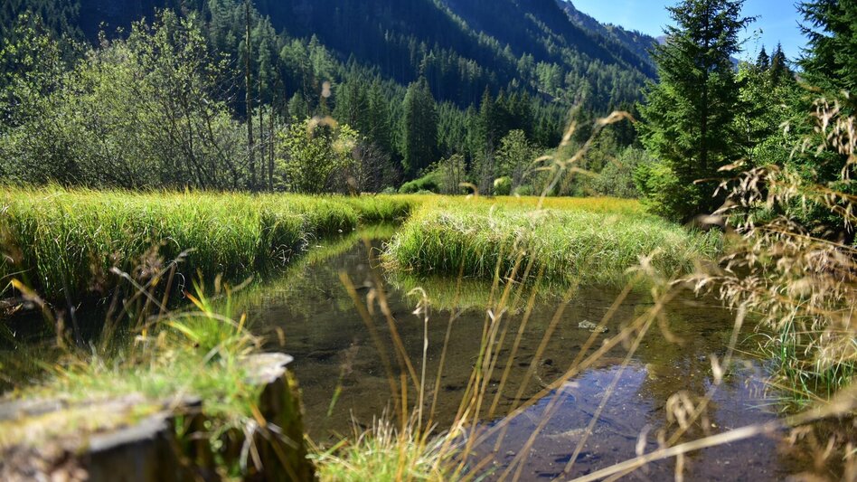 Wanderung Genusswanderung zum Ingeringsee - Touren-Impression #2.4 | © Anita Fössl