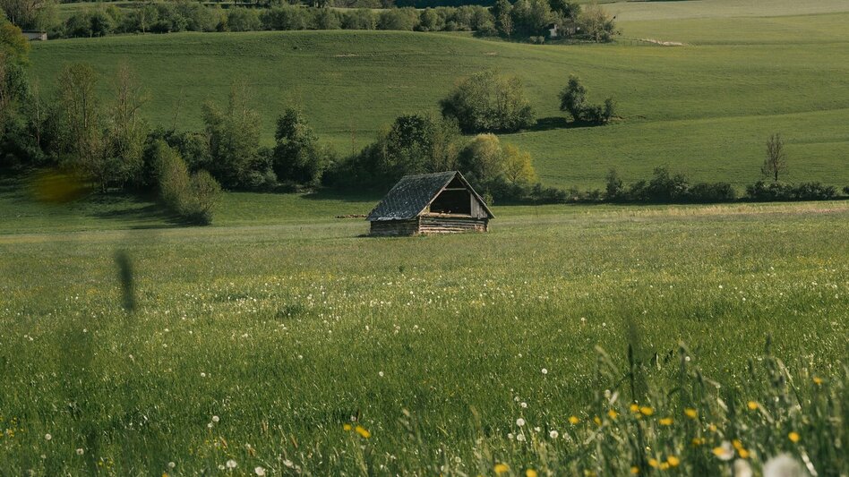 Jogging Kulmrunde No. 12 - Touren-Impression #2.2 | © Christoph Lukas