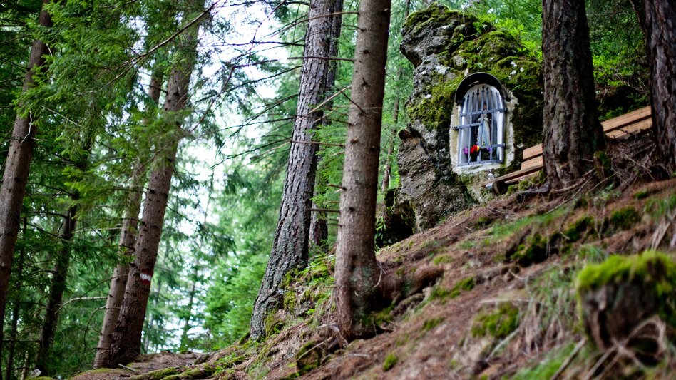 Hiking Route Krakauer circular trail trilogy: part 2 - Touren-Impression #2.2 | © Holzwelt Murau