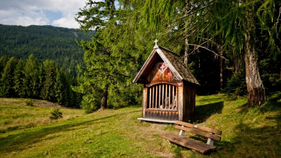 Hiking Route Krakauer circular trail trilogy: part 2 - Touren-Impression #2.3 | © Holzwelt Murau