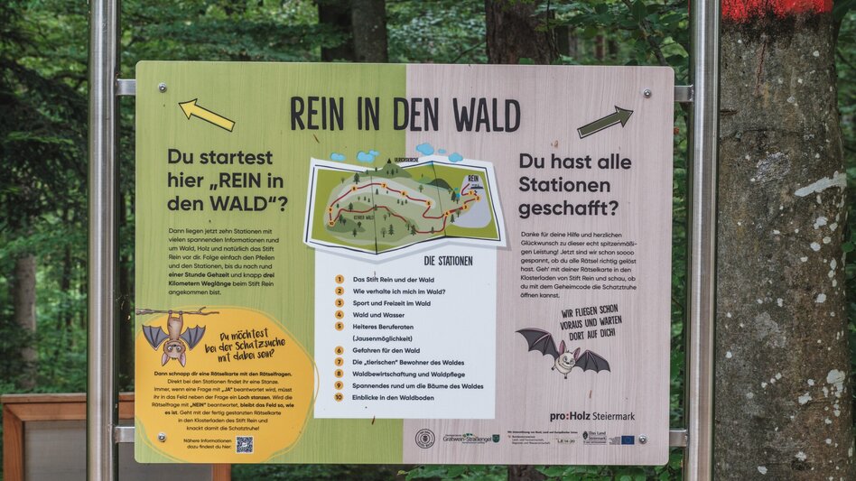 Hiking Route Rein in den Wald - ein Erlebnispfad - Touren-Impression #2.1