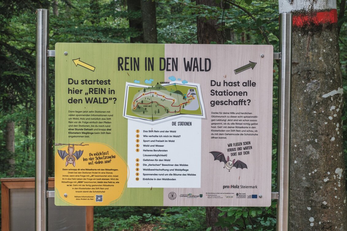 Hiking Route Rein in den Wald - ein Erlebnispfad - Touren-Impression #1