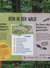 Rein in den Wald - ein Erlebnispfad | Janine Wenzel, Region Graz