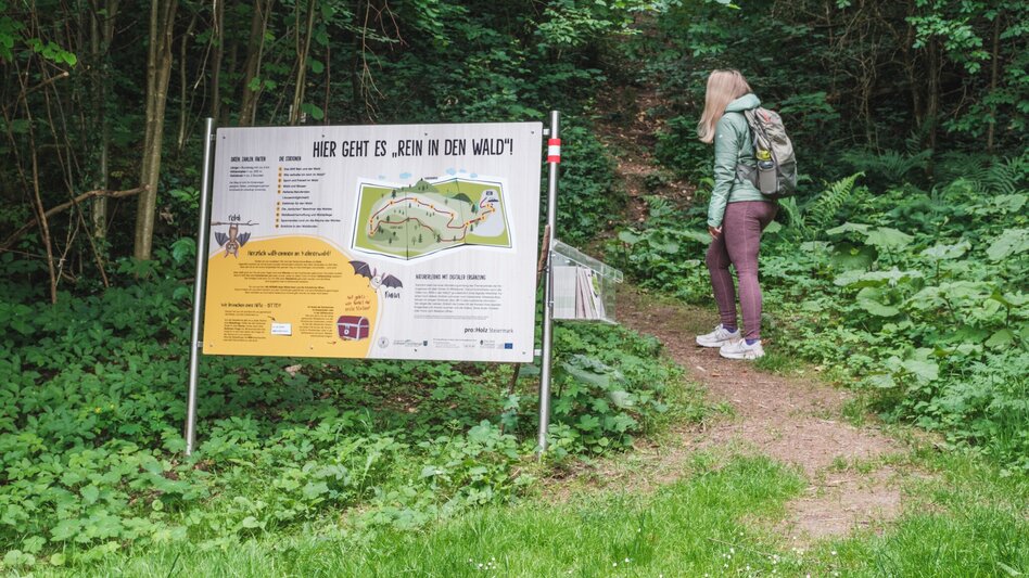 Hiking Route Rein in den Wald - ein Erlebnispfad - Touren-Impression #2.5