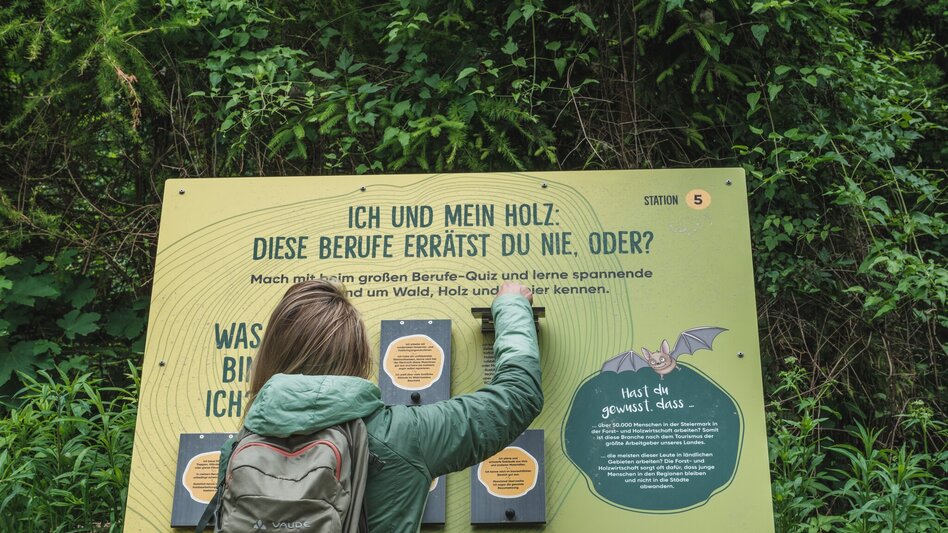 Hiking Route Rein in den Wald - ein Erlebnispfad - Touren-Impression #2.6
