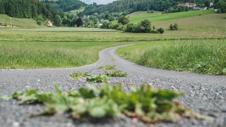 Wanderung Reiner Kultur- und Naturweg - Touren-Impression #2.3