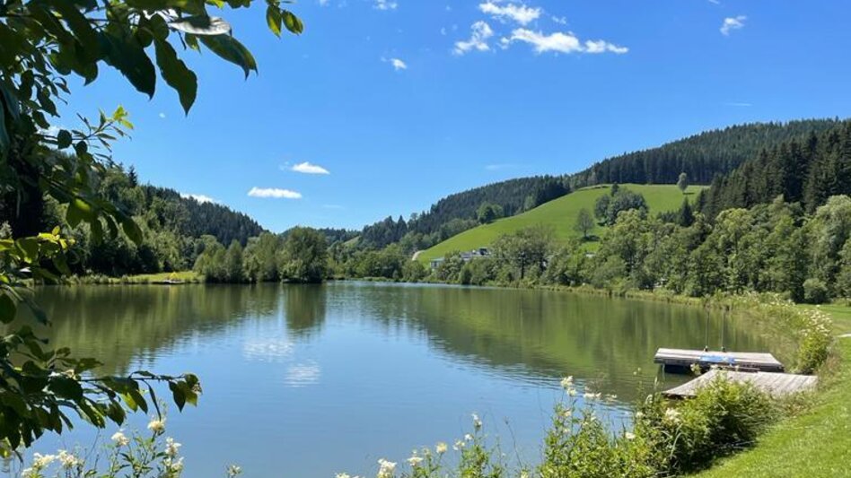Mountainbike MTB-Runde von Ratten in die Hochsteiermark - Touren-Impression #2.8 | © Tourismusverband Oststeiermark
