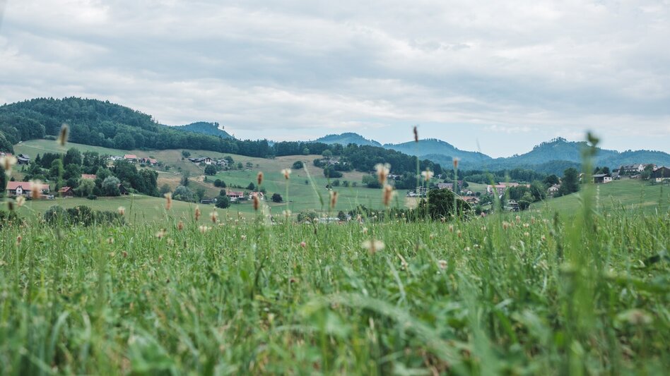 Wanderung Zisterzienserweg - Touren-Impression #2.1