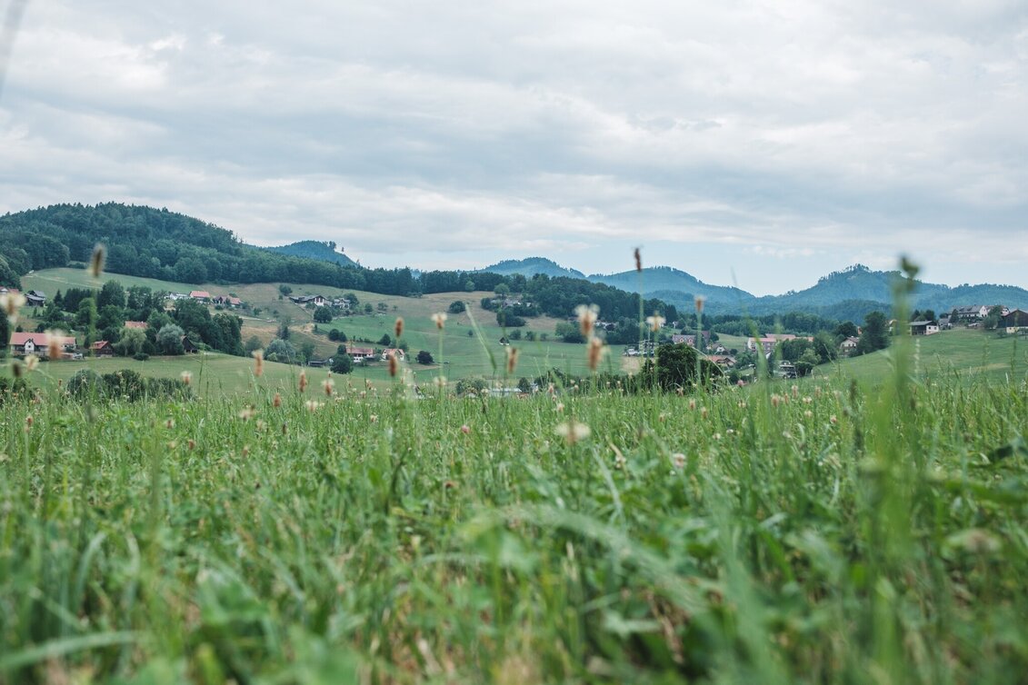 Wanderung Zisterzienserweg - Touren-Impression #1