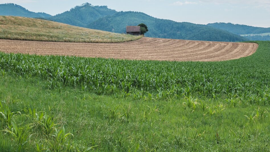 Wanderung Zisterzienserweg - Touren-Impression #2.6