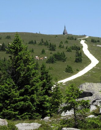 Mautstraße Hochwechsel_Ansicht_Oststeiermark | Zingl | © Oststeiermark Tourismus