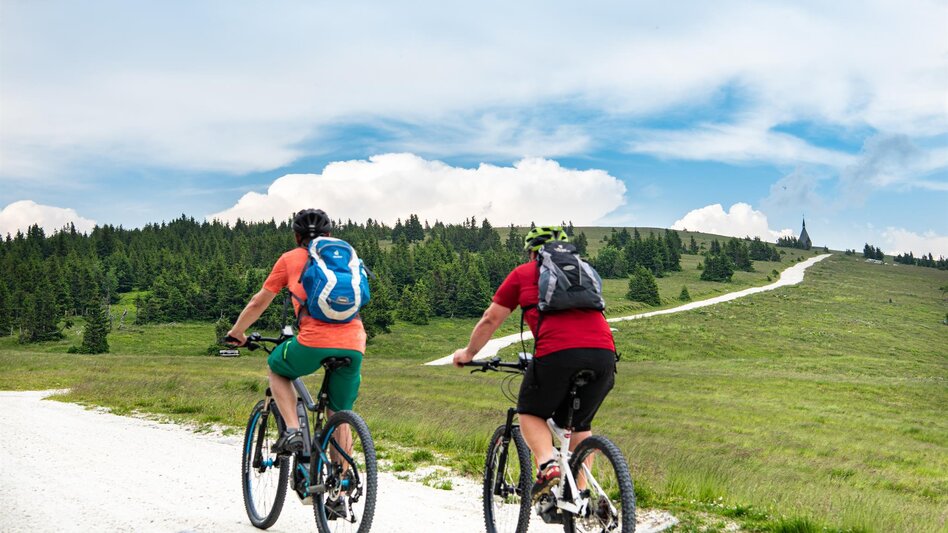 Mountainbike Hochwechselrunde ab Mönichwald - Touren-Impression #2.3 | © Region Joglland - Waldheimat