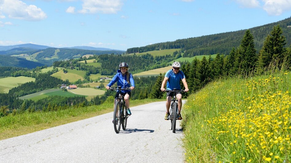 Mountainbike Hochwechselrunde ab Mönichwald - Touren-Impression #2.4 | © Oststeiermark Tourismus