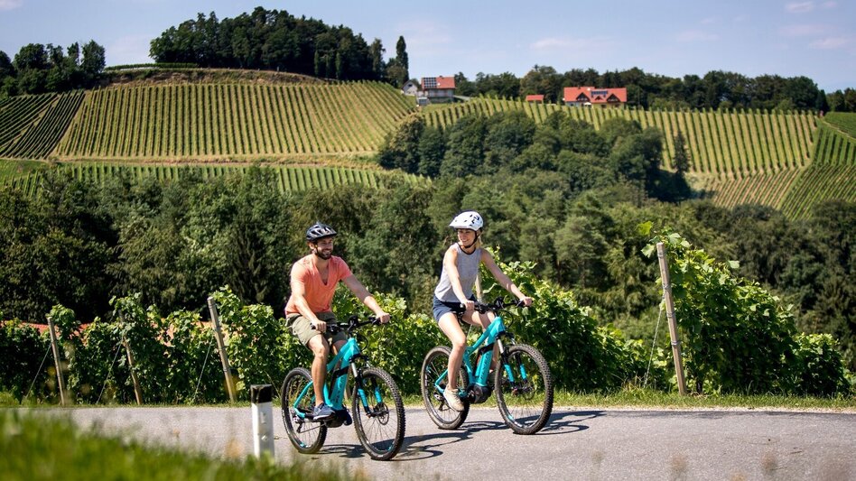 Cycling Weinstraßenausfahrt - Panoramaradweg-Südsteirische Weinstraße - Touren-Impression #2.1 | © Südsteiermark